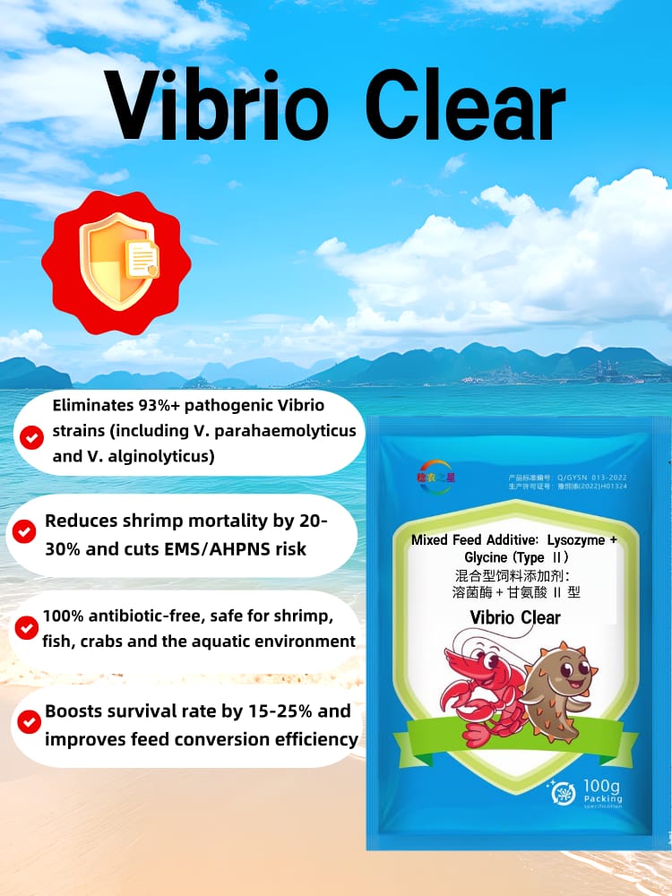 Vibrio Clear Lysozyme Feed Additive 100g Eliminate Pathogenic Vibrio Prevent Shrimp EMS AHPNS