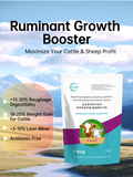 Ruminant Growth Booster Cattle Sheep Feed Additive 1kg Improve Roughage Digestibility Weight Gain