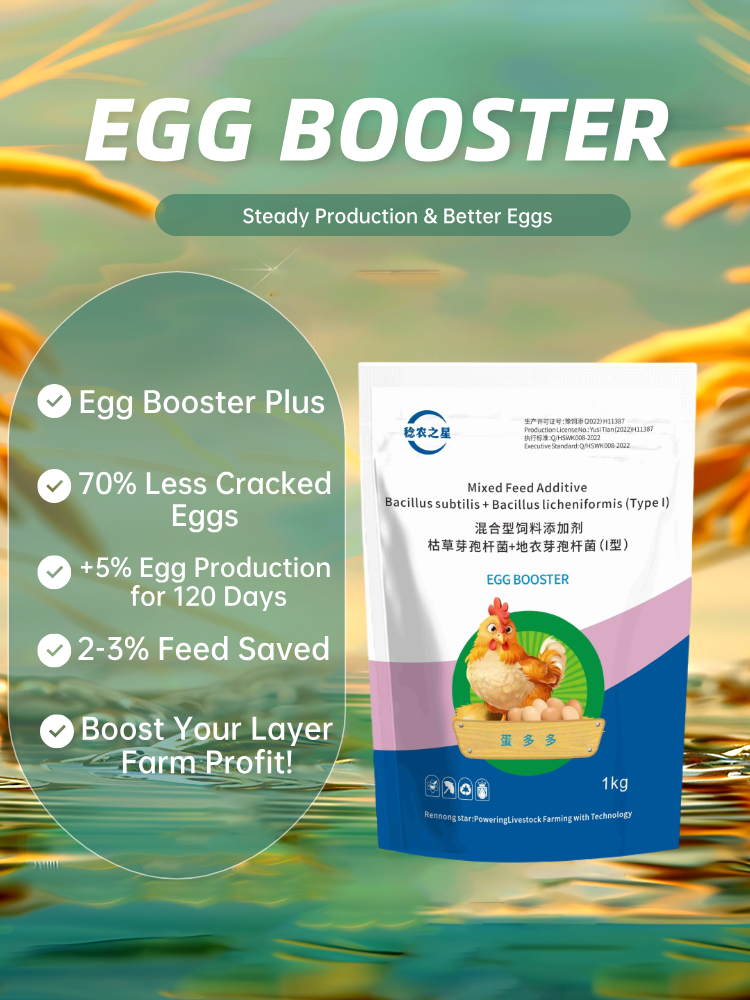 Egg Booster Layer Feed Additive 1kg Improve Laying Rate Reduce Cracked Eggs