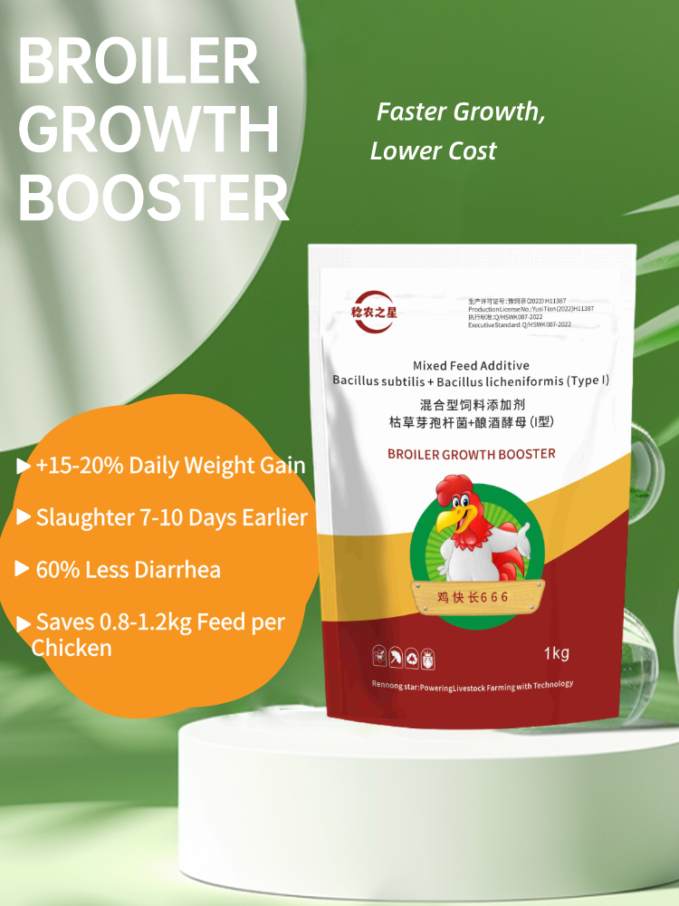 Broiler Growth Booster Probiotic Feed Additive 1kg Weight Gain For Chicken